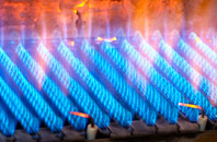Dollwen gas fired boilers